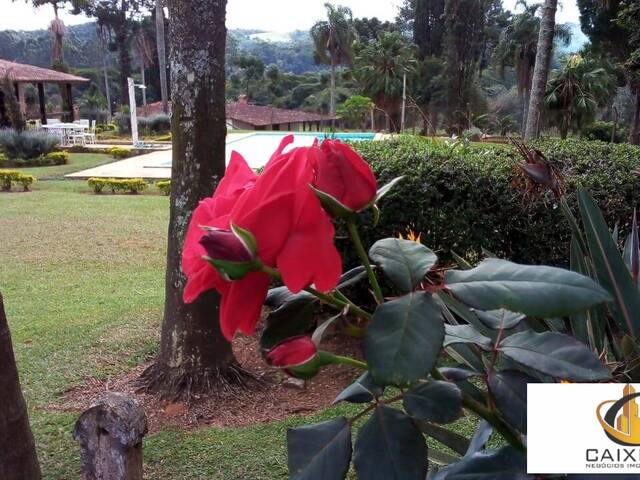 Chácara para Venda em Centro (Canguera) - 11