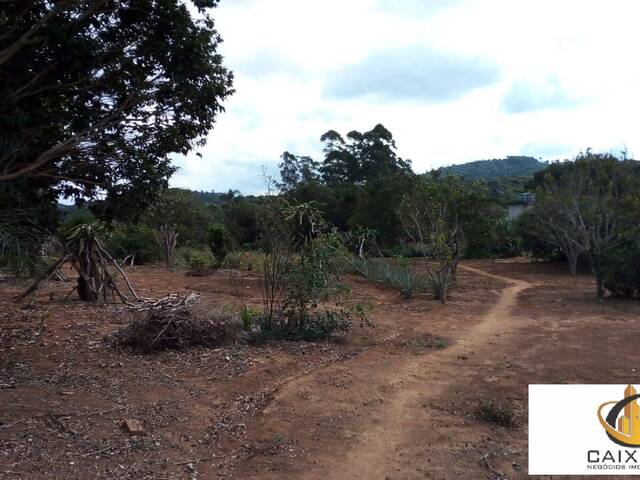 Chácara para Venda em Centro (Canguera) - 43
