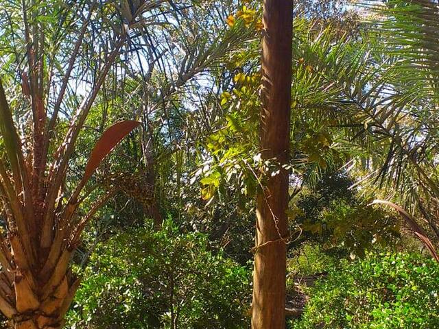 Casa em condomínio para Venda em Jardim São Bento do Recreio - 16