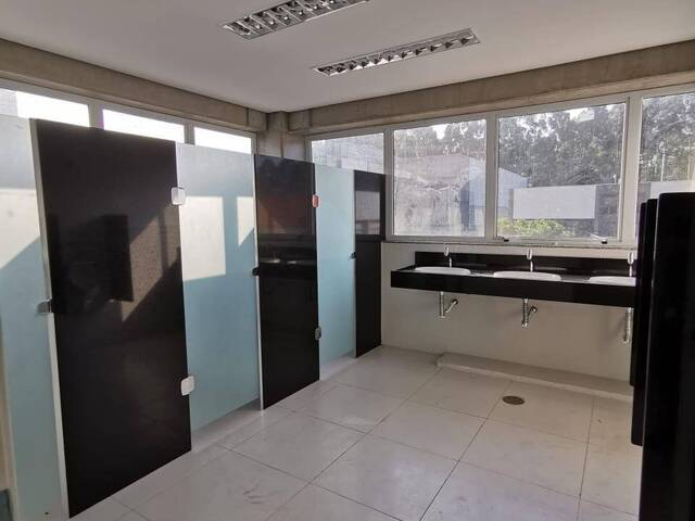 banheiro masculino