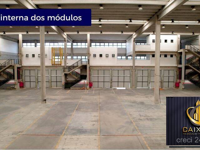  para  em  - 12