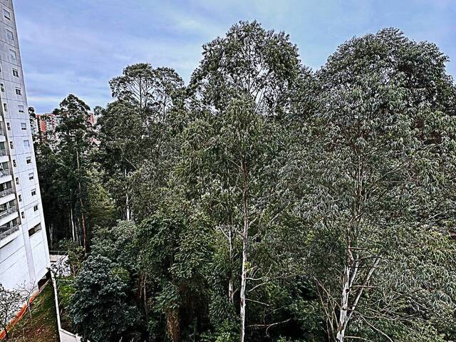 Apartamento para Venda em TAMBORÉ - 28