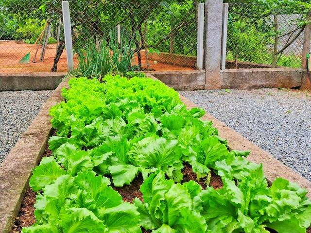Chácara para Venda em Jardim Meny - 26