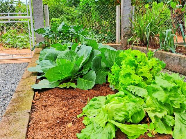 Chácara para Venda em Jardim Meny - 27