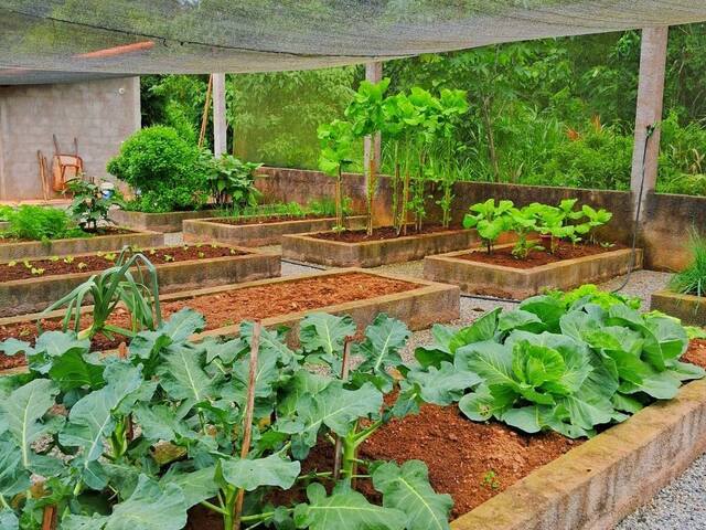 Chácara para Venda em Jardim Meny - 28