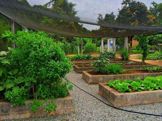 Chácara para Venda em Jardim Meny - 25