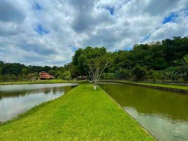 Chácara para Venda em São Roque - 4