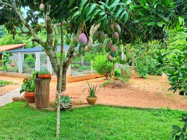 Chácara para Venda em Jardim Meny - 24