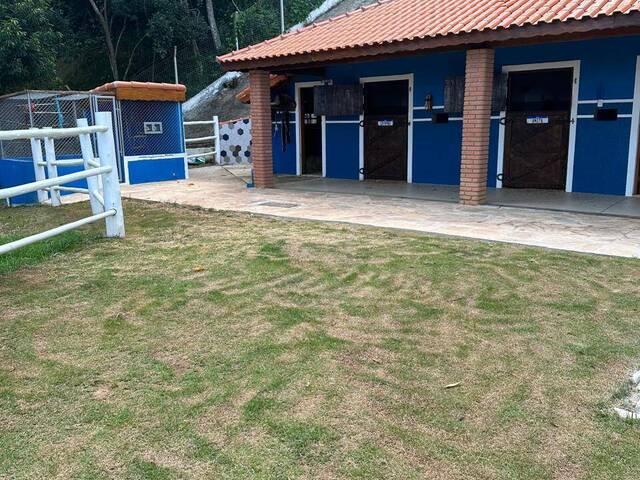 Chácara para Venda em Caete (Mailasqui) - 11