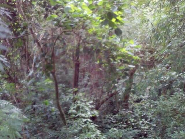 Área para Venda em Vila Santo Antônio - 7