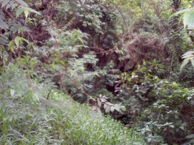 Área para Venda em Vila Santo Antônio - 6