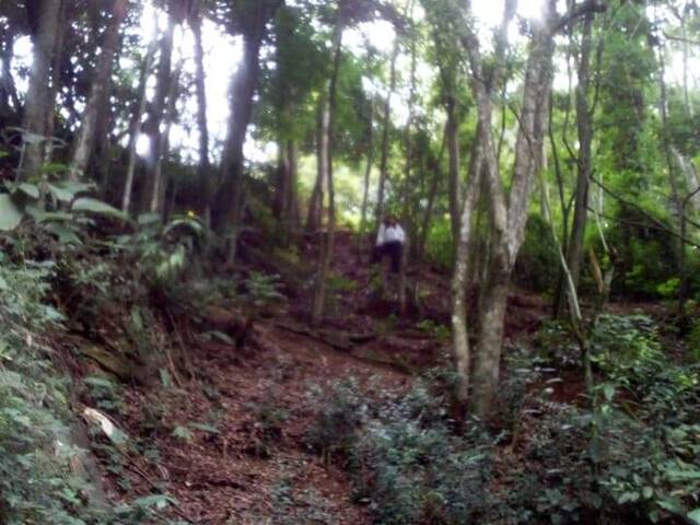 Área para Venda em Vila Santo Antônio - 23