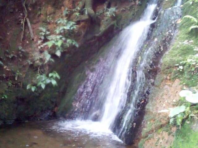 Área para Venda em Vila Santo Antônio - 24