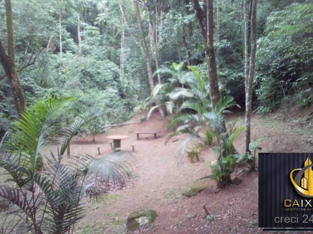 Área para Venda em Vila Santo Antônio - 27