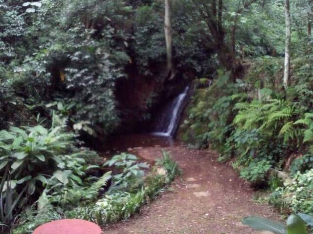 Área para Venda em Vila Santo Antônio - 26