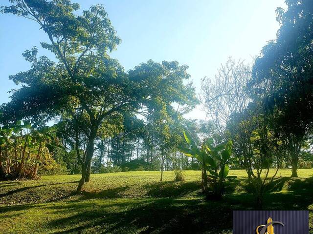 Chácara para Venda em SEBARDILHA - 37