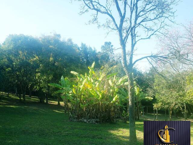 Chácara para Venda em SEBARDILHA - 38