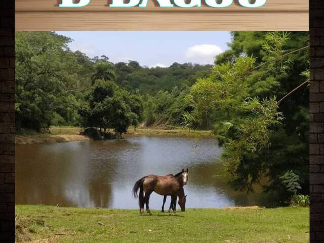 #1517 - Haras para Venda em São Roque - SP - 1