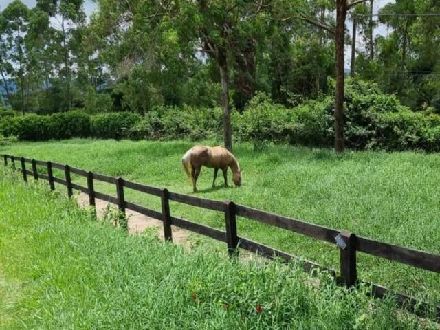 #1517 - Haras para Venda em São Roque - SP - 2