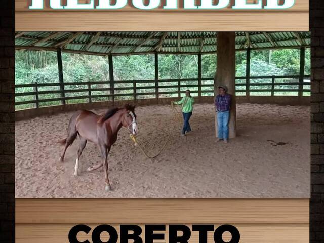 Haras para Venda em Jardim Guaçu - 6
