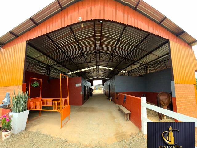 Haras para Venda em São Roque - 5