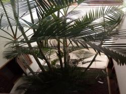 Casa em condomínio para Venda em Alphaville - 16
