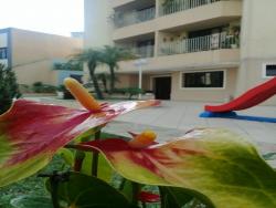 Apartamento para Venda em Tucuruvi - 25