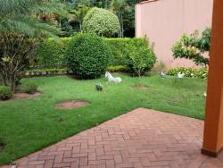 Casa em condomínio para Venda em Jardim Gabriela - 9