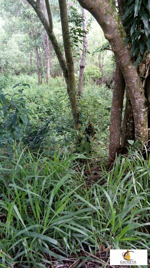 Terreno para Venda em São Roque - 6