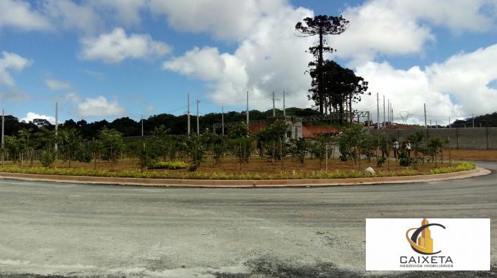 Terreno para Venda em Cotia - 11