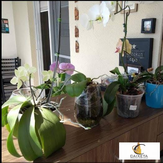 Apartamento para Venda em Barueri - 9