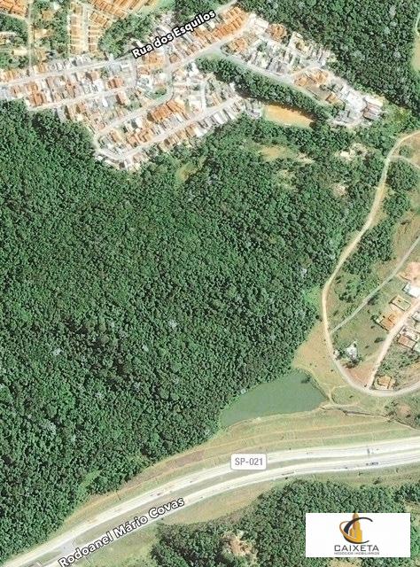 Terreno, 22 hectares - Foto 3