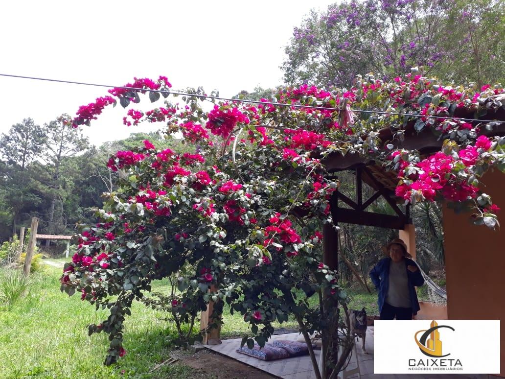 Sítio para Venda em São Roque - 20