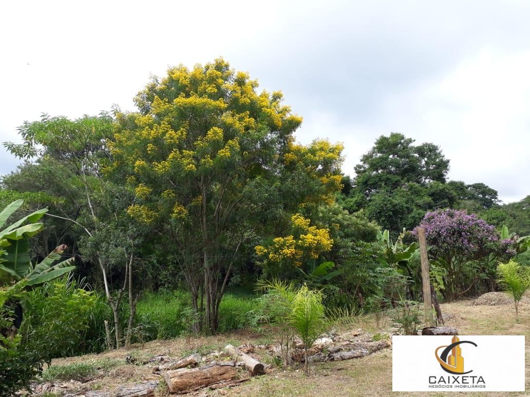 Sítio para Venda em São Roque - 11