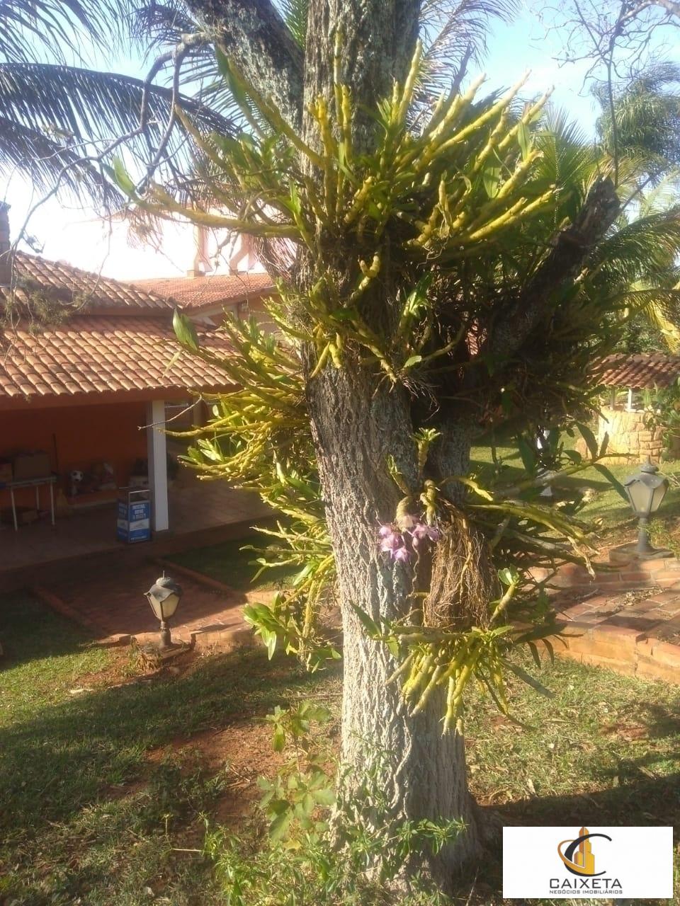 Chácara para Venda em Boituva - 24