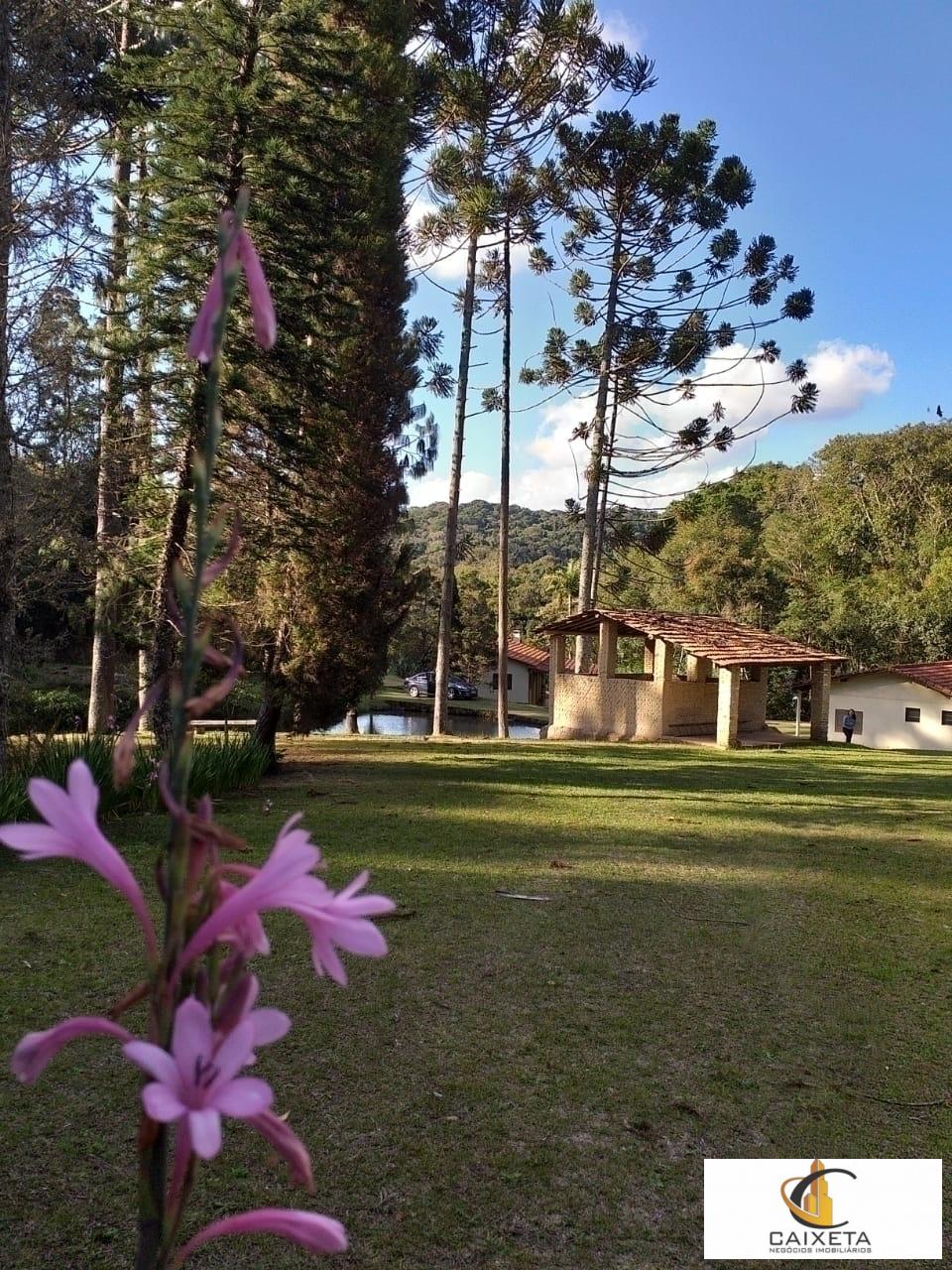 Chácara para Venda em São Roque - 4