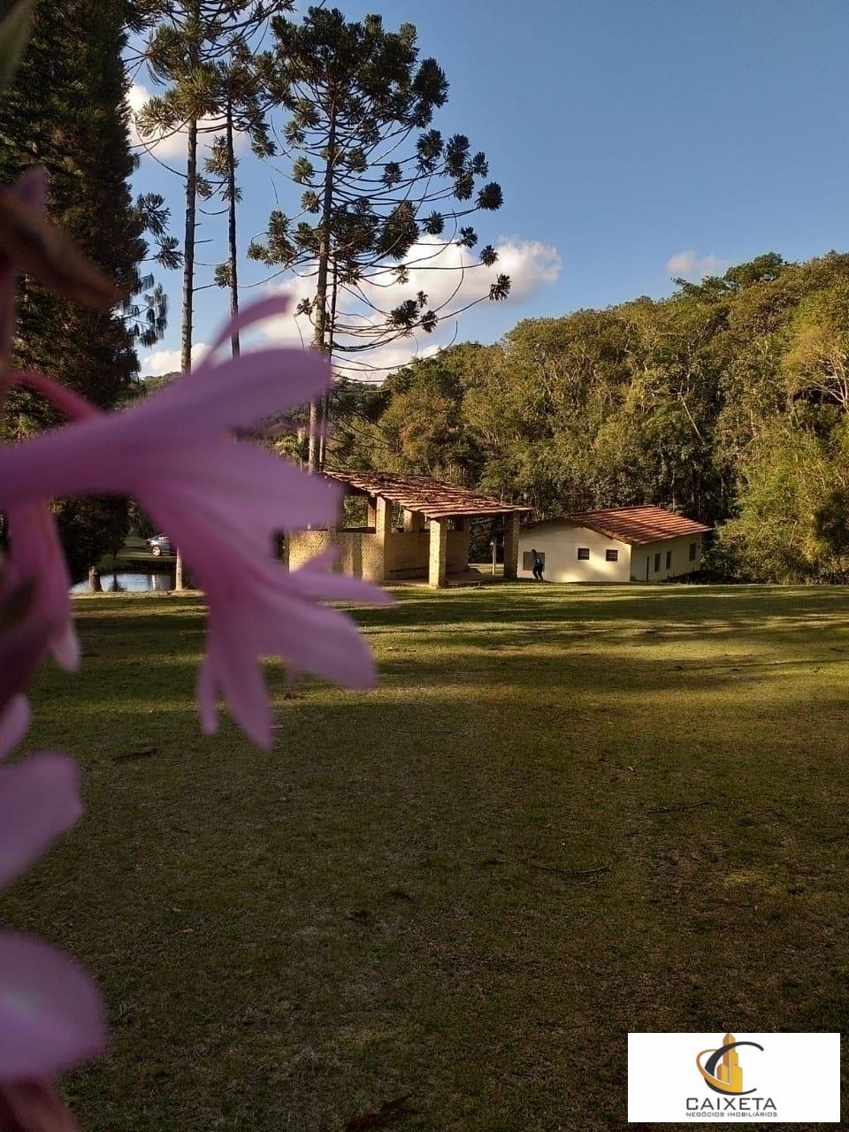 Chácara para Venda em São Roque - 7