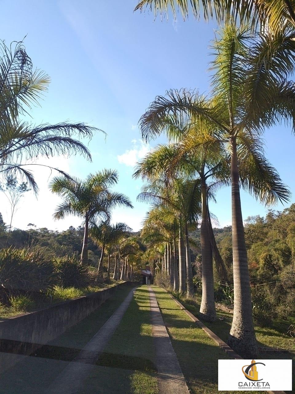 Chácara para Venda em São Roque - 14