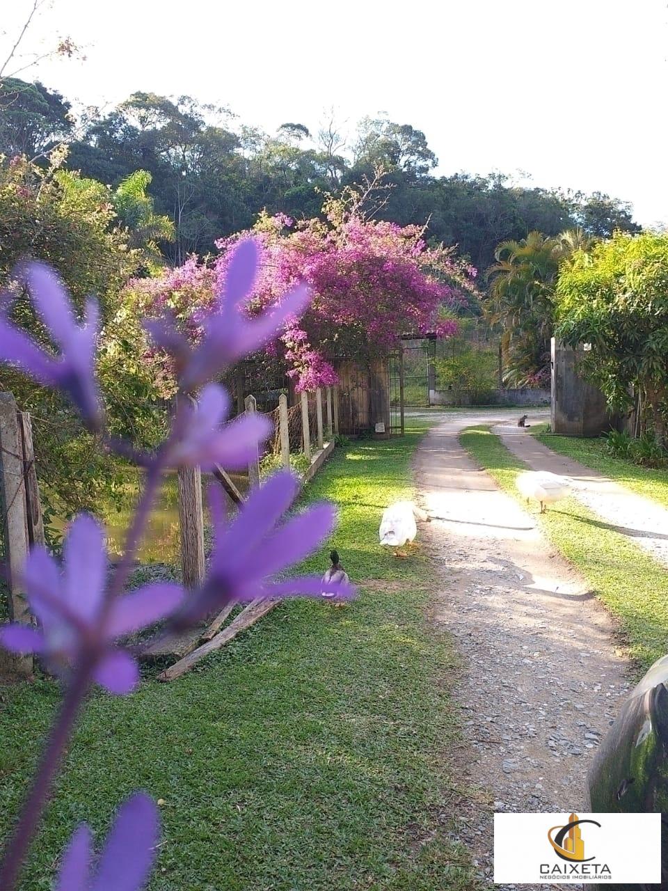 Chácara para Venda em São Roque - 15