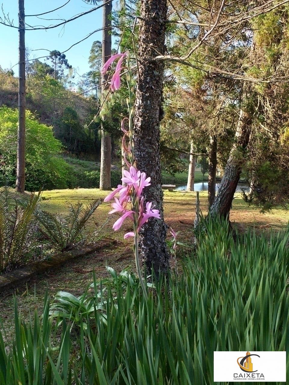 Chácara para Venda em São Roque - 5