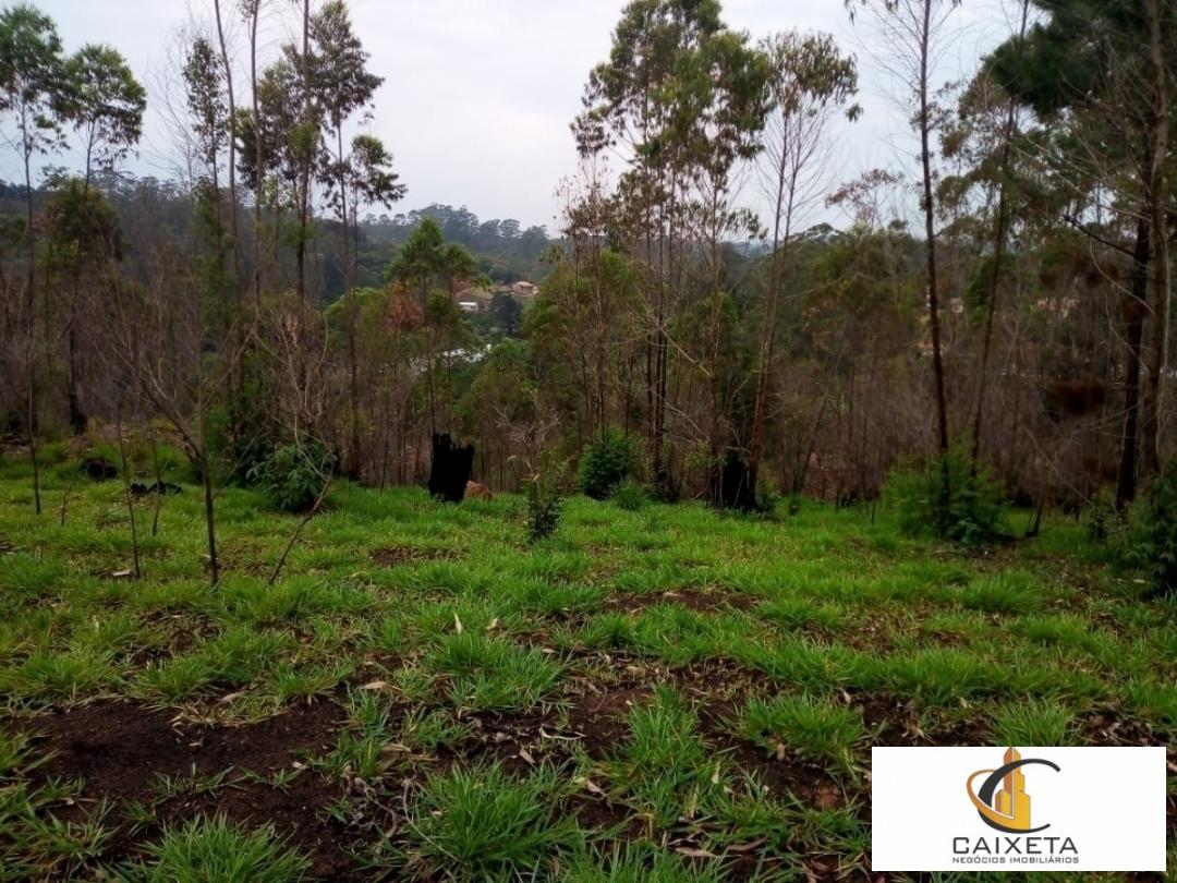 Terreno para Venda em São Roque - 8