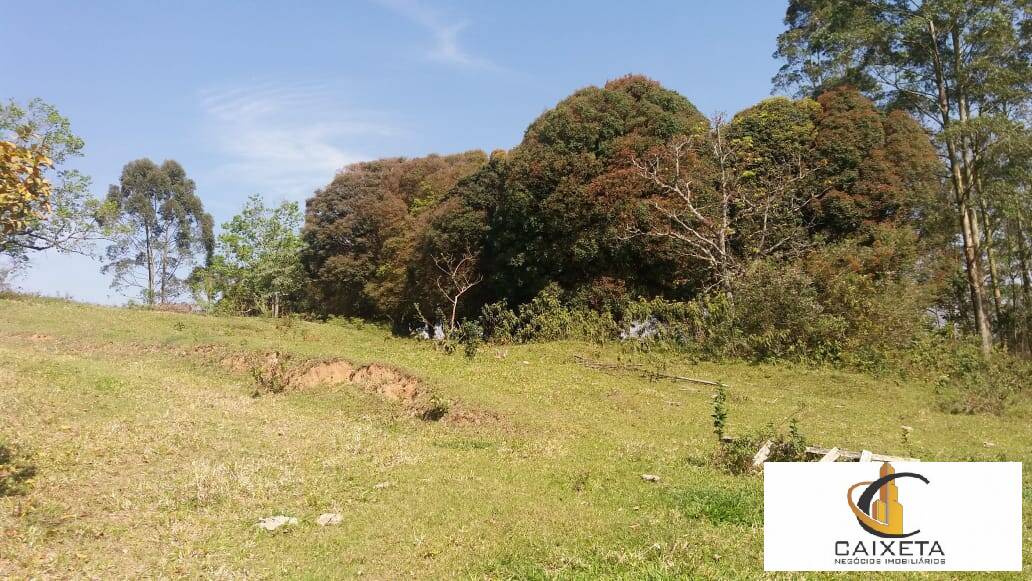 Terreno à venda, 109000m² - Foto 7