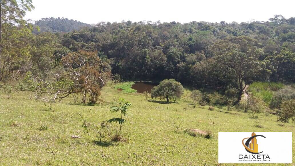 Terreno à venda, 109000m² - Foto 8