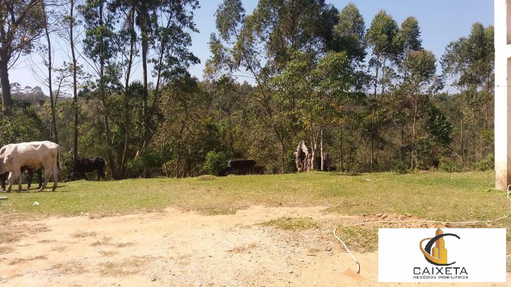 Terreno à venda, 109000m² - Foto 9