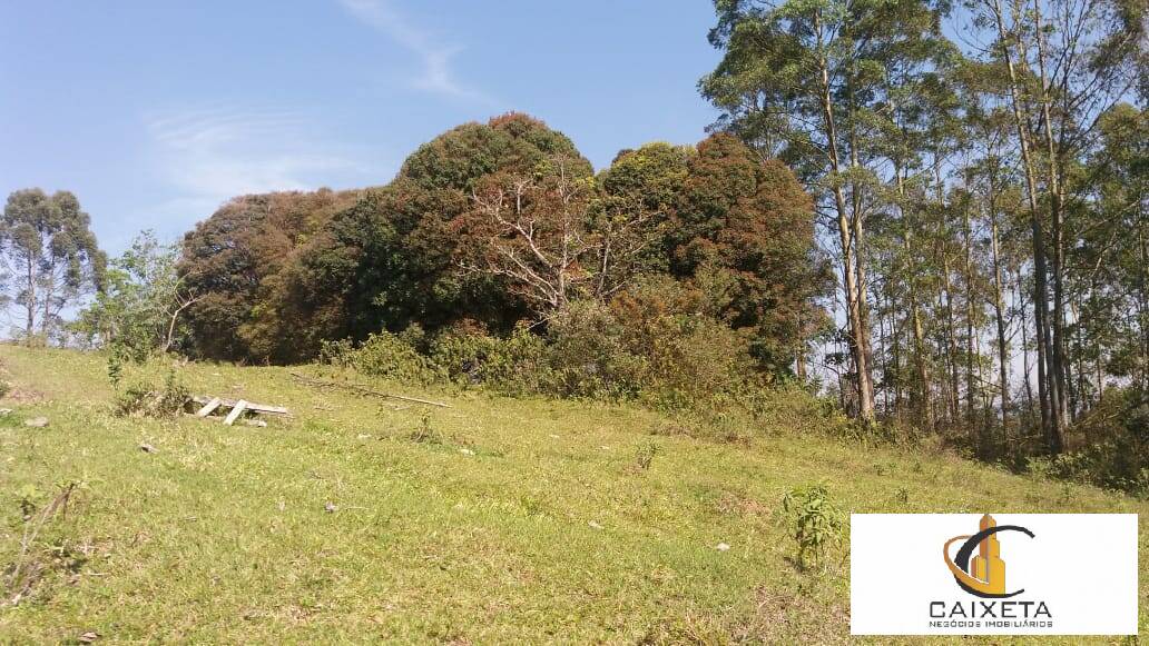 Terreno à venda, 109000m² - Foto 21