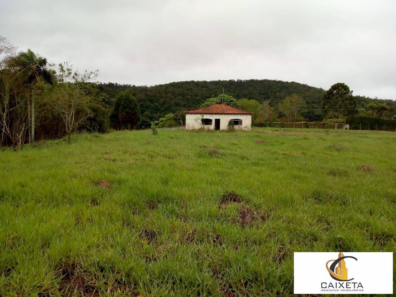Chácara à venda com 5 quartos, 28000m² - Foto 10