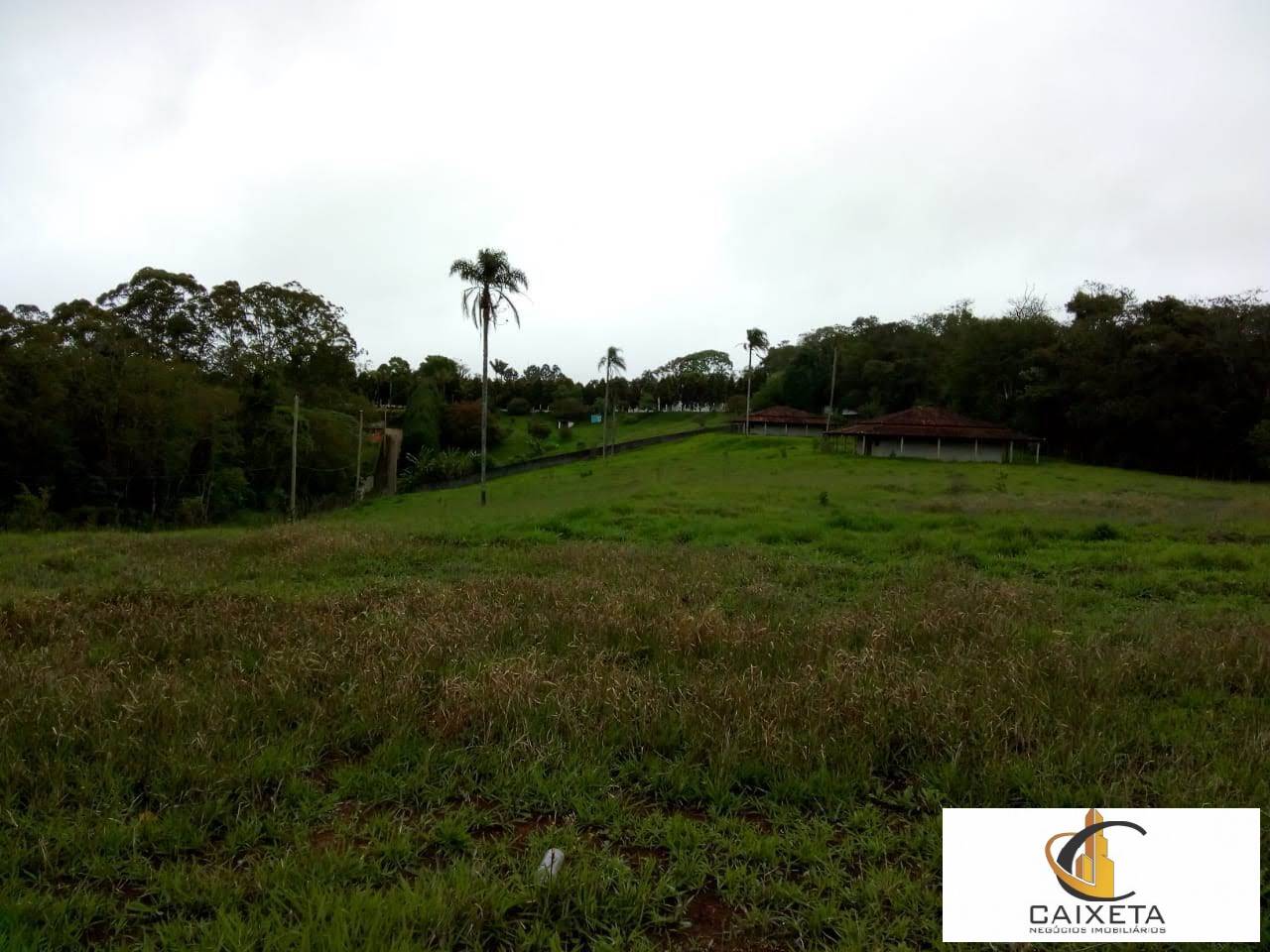 Chácara à venda com 5 quartos, 28000m² - Foto 11
