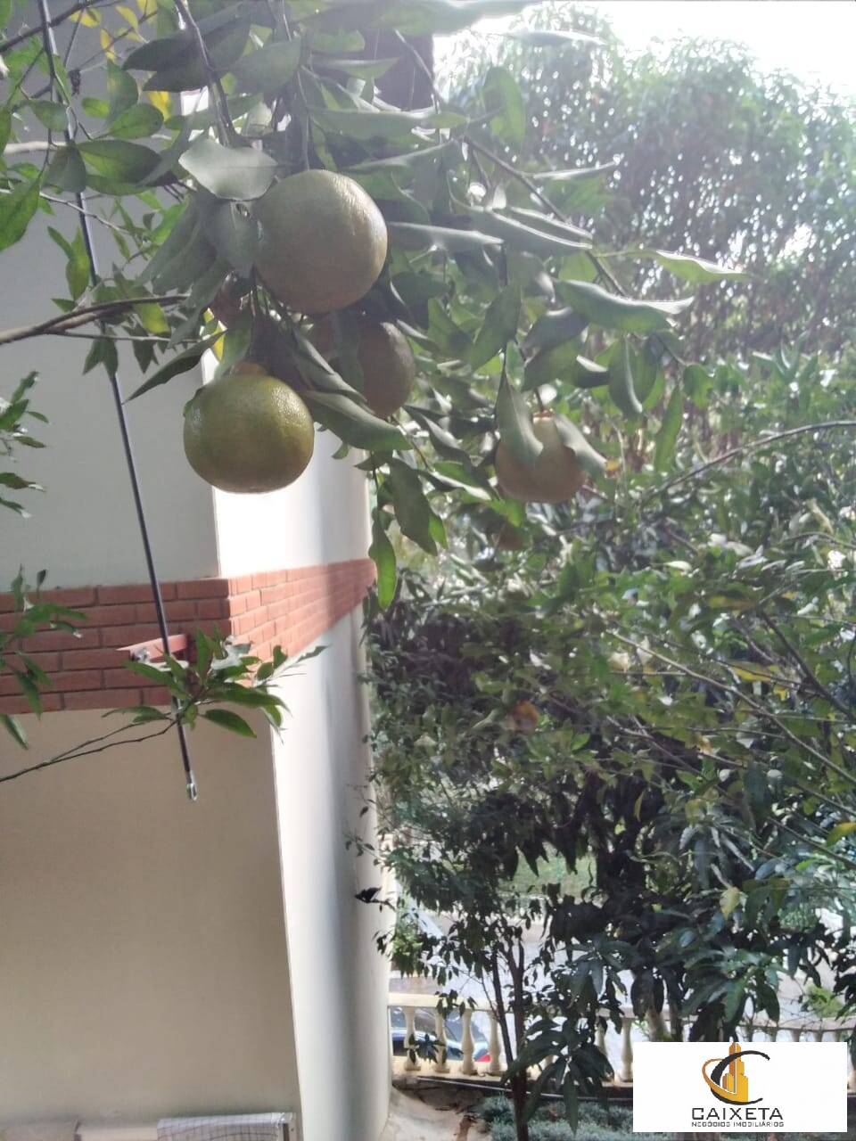 Casa de Condomínio, 6 quartos - Foto 69