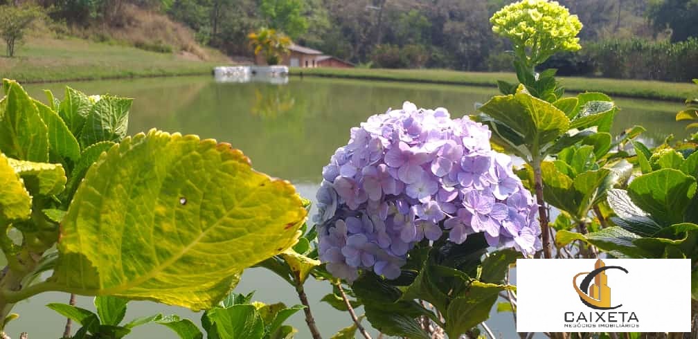 Sítio para Venda em São Roque - 2