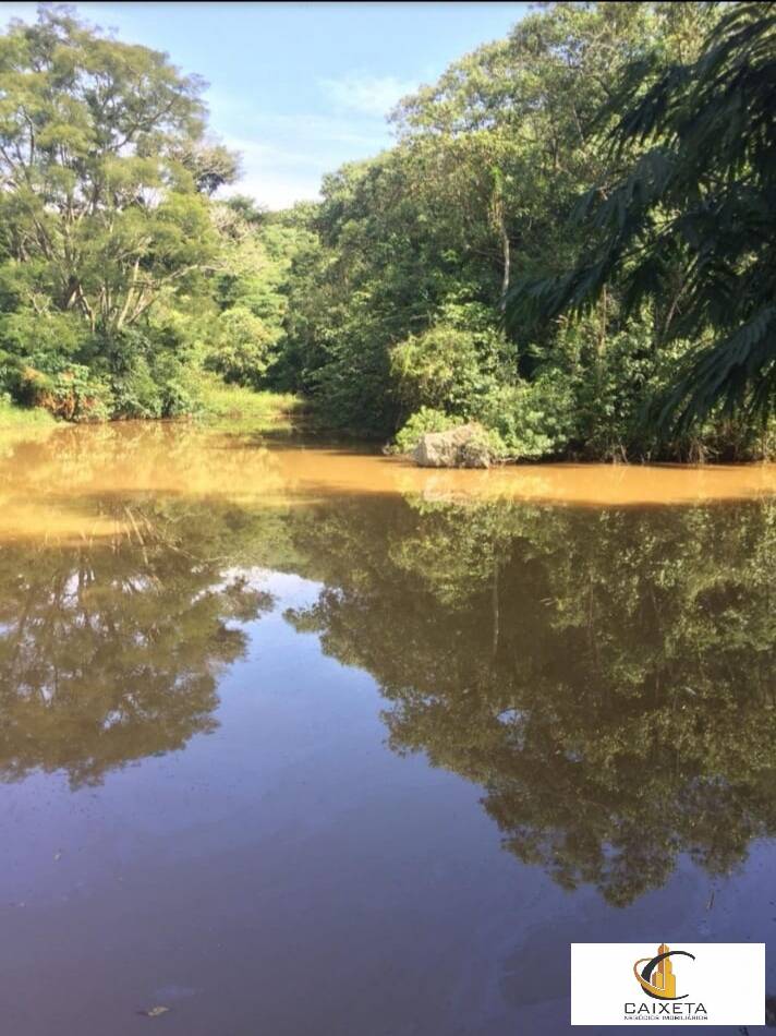 Sítio para Venda em São Roque - 10